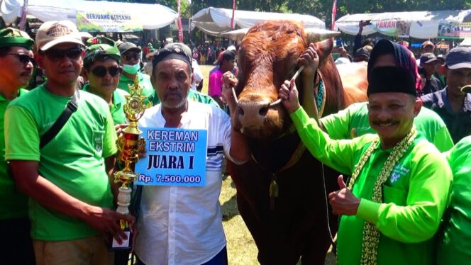 
 Teks foto : Bupati Situbondo Situbondo bersama pemenang juara 1 kontes ternak kategori sapi kereman extrem