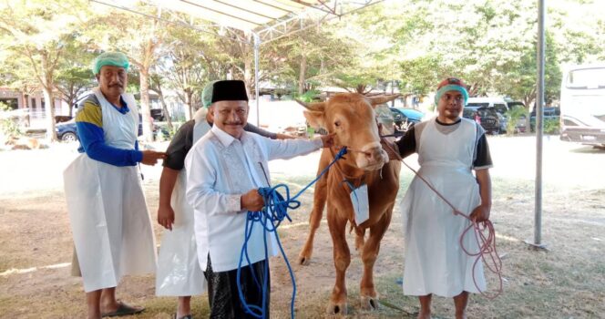
 Teks Foto : Bupati Situbondo secara simbolis menyerahkan sapi