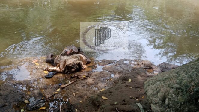 
 Penemuan mayat Mr X Di sungai Deli
