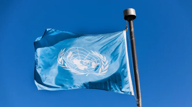 
 PBB: Organisasi Internasional untuk Kerjasama Global